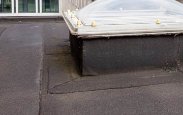 disadvantages of Swinmore Common flat roofs