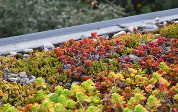 the cost of Swinmore Common green roof installation