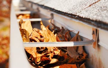 Swinmore Common gutter cleaning companies