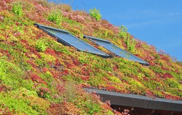 Swinmore Common living roof systems
