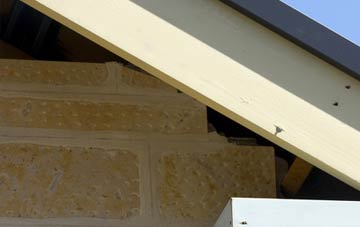 soffit repair Swinmore Common
