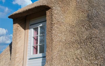 Swinmore Common thatch roof disadvantages